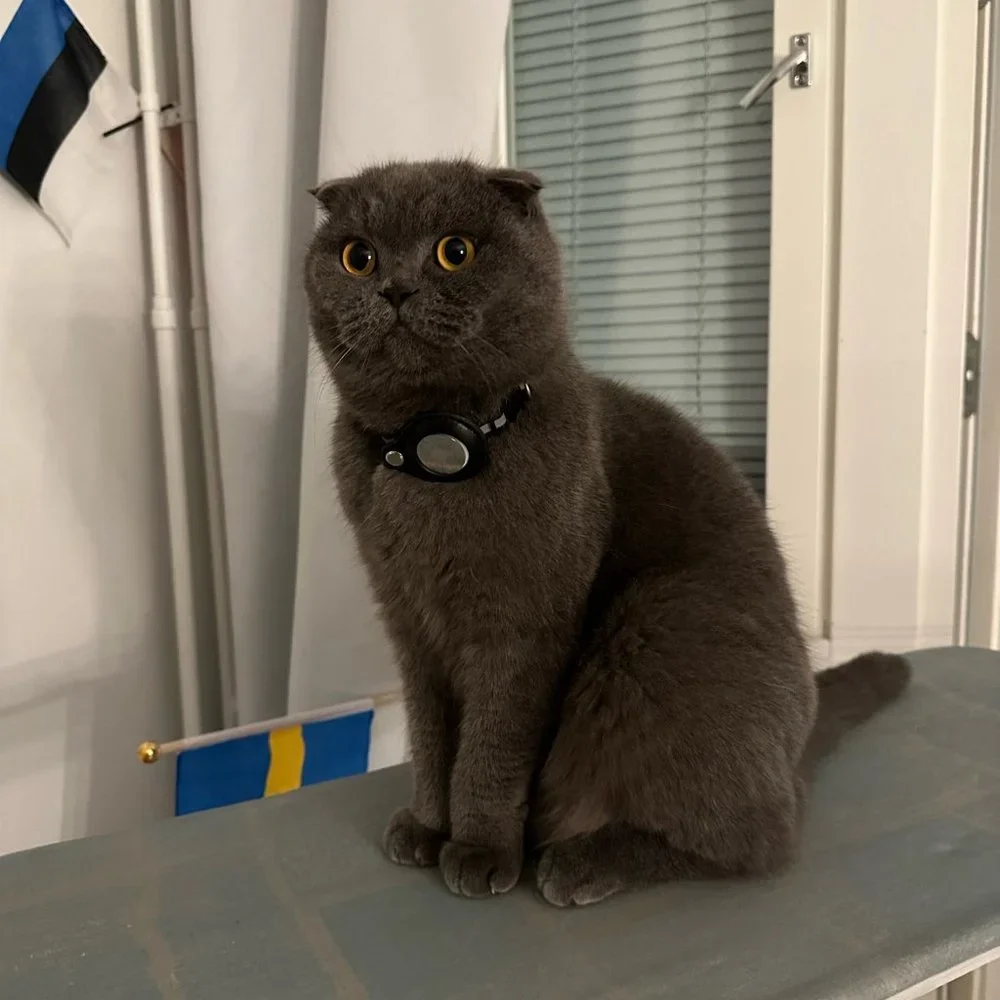 Cat Collar with Apple Airtag Pocket - Waterproof & Reflective